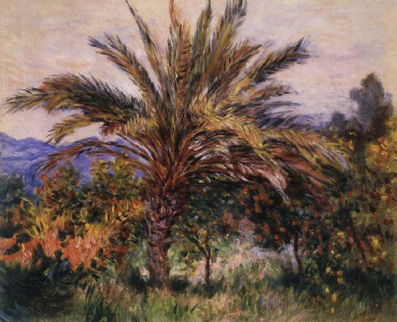 Claude Monet A Palm Tree at Bordighera oil painting picture